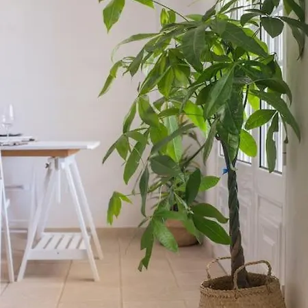 Lisbon Waves Surf Bed & Breakfast *