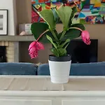 Bed and Breakfast Lisbon Waves Surf Αλμάδα