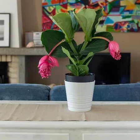 Couette-café Lisbon Waves Surf Almada